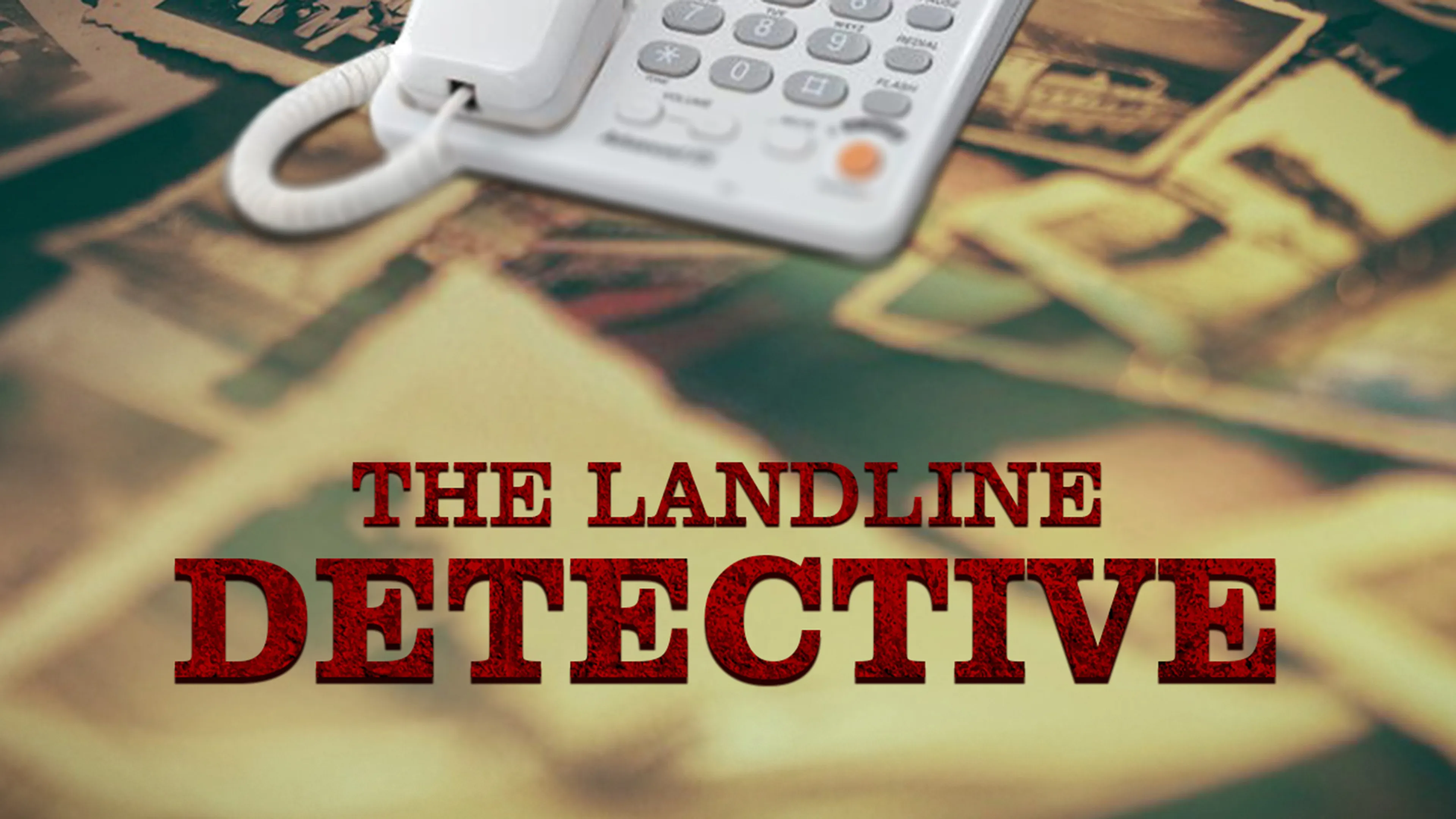The Landline Detective poster